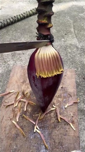 Spring's Hidden Gems: A Photo Journey