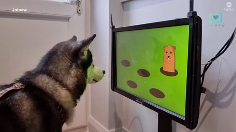 Tesla redesigning Model 3: Report