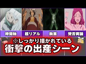 出産シーンがしっかり描かれているアニメは名作【ゆっくり解説】anime