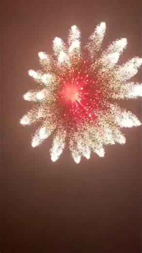 5" inch display shell fireworks #fireworks #pyro #funny