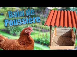 Set up a dust bath for your chickens (Sand & Ash)