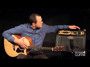 Peavey Ecoustic E110 Review from Acoustic Guitar
