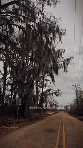 🐊🌊🥀 ______ south louisiana swamp, southern gothic, bayou mystique, cypress trees, spanish moss, louisiana folklore, haunted south, gothic south, bayou atmosphere, swamp fog, deep south aesthetic, southern decay, gothic landscape, humid south, creole folklore, swamp magic, southern eeriness, louisiana nature, moody south, bayou #southerngothic #louisianabayou #swamp #gothicsouth #deepsouth | WitchVoid