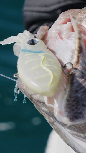 6.5K views · 121 reactions | Level up your Squid game 撚 The...