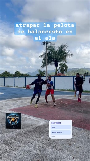 basketball translation : atrapar la pelota de baloncesto en el ala - Catch the ball on the Wing