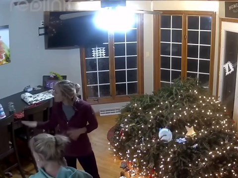 Cat destroys a Christmas tree and three souls.