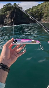 Looked like a bomb exploded when this fish hit #fishing | Ryan Morie Outdoors