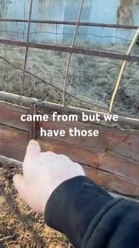 Grandpa never let anything go to waste! #farming