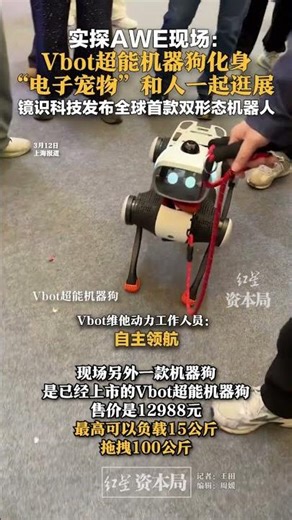 On-site visit to AWE: Vbot super robot dog transforms into an "electronic pet" and tours the exhi...