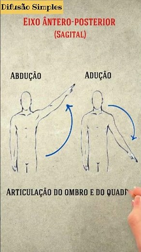 Eixos Ântero-posterior e longitudinal #anatomia #anatomiahumana