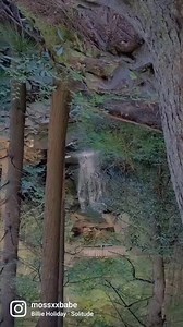 Why did insta make this upside down 😂 from my hike the other day 💜 | Fern Sparx