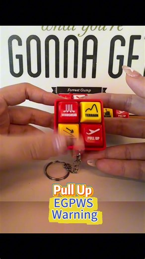 8.8K views · 42 reactions | **✈️ Attention Avgeeks & Pilots! This...