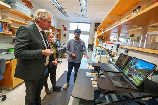 Giant Ground Sloth Extinction Led to Loss of Ecological Services