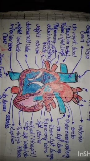 science 🧪 Digram... 7th class