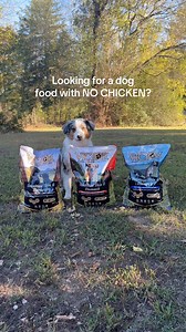 Looking for a food without chicken? We’ve got you covered! #fueledbyvictor | VICTOR Super Premium Pet Food
