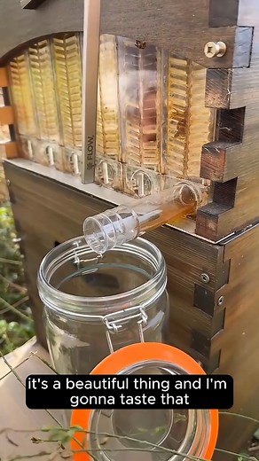 791K views · 9.8K reactions |  A quick how-to: harvest honey straight from the hive — no heavy lifting, no mess, just pure golden goodness! Link in bio to our Black & Yellow Friday bundle  #FlowHive #HoneyHarvest #LiveQandA #QuickCuts | Flow Hive | Facebook