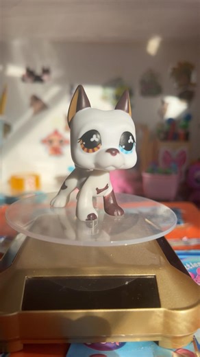 Hangisi Favorin? #LPS #Minişler #popular #LpsCustom #lpscommunity