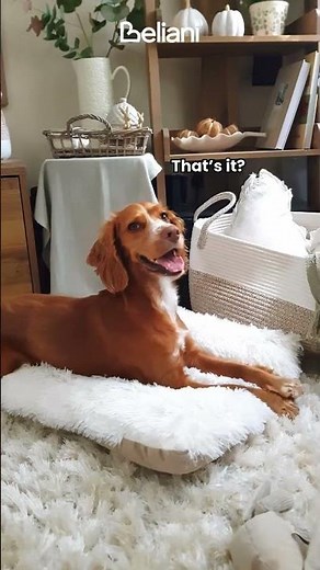 Rustic Style Explained 🐾✨