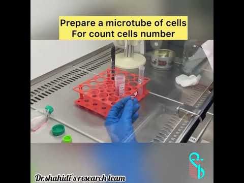 Passaging Cells: A Step-by-step guide