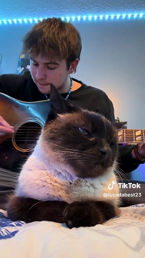 Cowpoke - Colter Wall Acoustic Cover