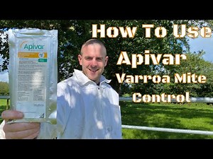 How to use Apivar To Treat Your Bees For Varroa Mites