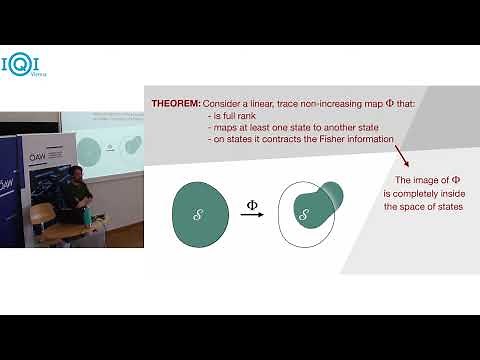 MATTEO SCANDI: Quantum Fisher Information and its dynamical nature (ed)