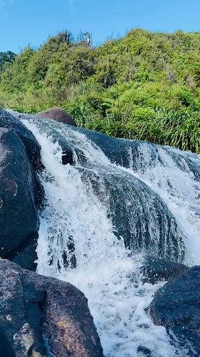 Daniel Flores on TikTok