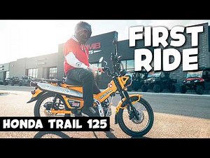 Honda Trail 125 Review | Mini Motorcycle Test Ride & Real-World Impressions