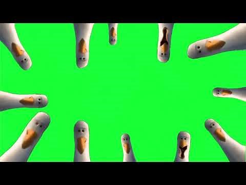 Finding Nemo Green Screen Seagull (Streamers Edition)