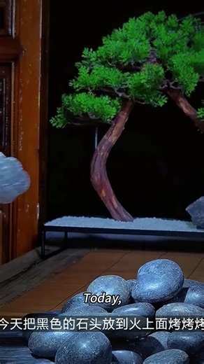 Today’s food plan: Make a flame drunken tea crab with tea stems, Maotai and Dazhabei. #tea #tealife #fruittea