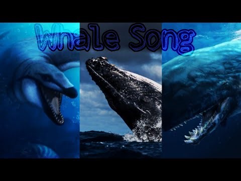 Cetaceans Tribute | Whale Song |