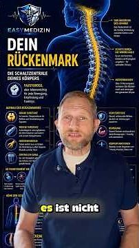 Your Spinal Cord: The Control Center Between Brain and Body!