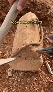 20M views · 171K reactions | Treasure #teamparodytv | team parody TV | Facebook