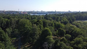 Trees, Cityscape, Scenic. Free Stock Video