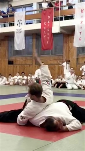 Universal Aikido Tournament Final Match Highlights