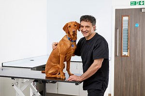 Supervet on vital pet insurance questions | Petplan