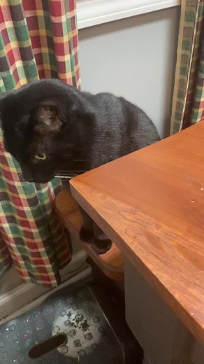 Dana Jones (@duojones)’s videos with original sound - Dana Jones