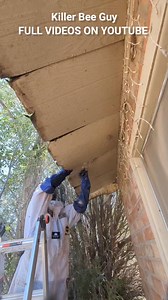 #killerbeeguy #killerbee #honeybee #invasivespecies | Killer Bee Guy