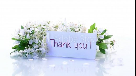 thank you card and blooming spring branch with flowers