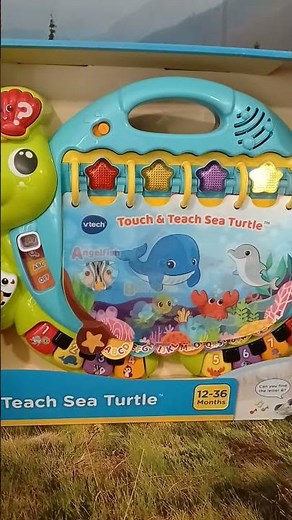 Touch and teach sea turtle #vtech #learningtools #satisfying #youtube