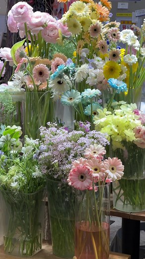 Exploring a Beautiful Flower Shop Experience