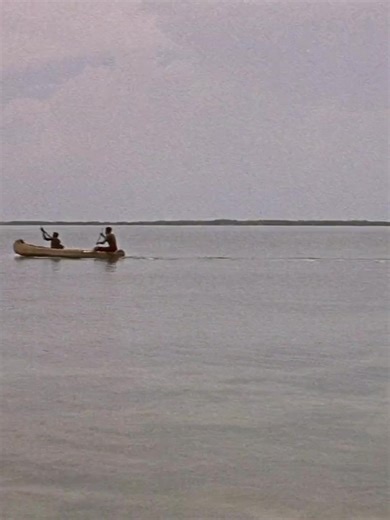 PT 109 60s_Part 70 Best Naval War Films #navy #war “Before the White House, there was PT 109” |Join us: https://www.facebook.com/groups/2068347963523580 . #war #usnavy #pilot #history #royalnavy #submarine #airforce #military #Warmovies #war #USSNimitz #fighter #Adventure #USNavy #USAFF #aircraft #Warbird #USSHornet #military #WW2 #WWI #aviation #zero #aviationlovers #NASA #aviationdaily #spitfire #jet #fighterjets #Marine #pilot #uk #us #military #history #aircraftcarrier #fighterjets . | US Ai