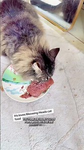 Ultimate Meowing Heads Cat Food Review: Perfect for Multiple Cats! #CatFood #PetCare