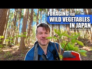Foraging and Cooking Wild Vegetables in Japan