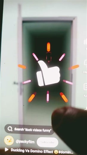 When you left your door open!#shorts#funny #duck