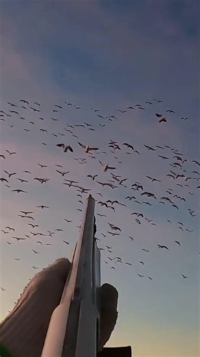 Fast Geese Kill | Instant Drop 🔥