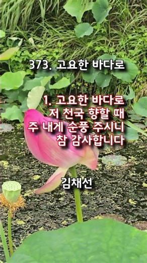 찬송가 373장 고요한 바다로 #hymn #김채선