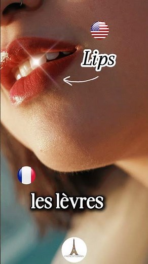 🇺🇸 🇫🇷 Lips 💋 - FRENCHTIONARY (English French Visual Dictionary)