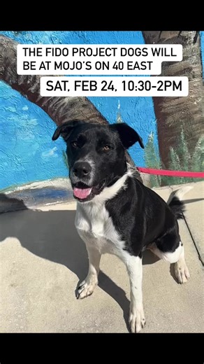 marionfl.org/fido | Marion County Animal Services