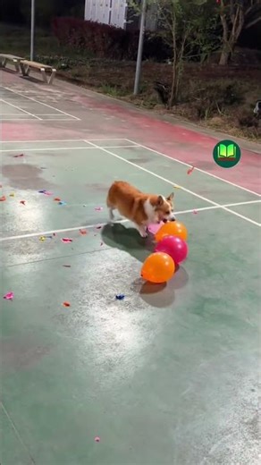 #lion #aivideo #computer #dogs #ai #comedy #love #trendingshorts